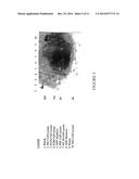 Novel Antibody Recognizing a Small Subset of Human Hematopoietic Cells diagram and image