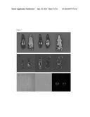 Functionalised silicon nanoparticles diagram and image