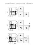 METHODS OF EXPANDING MYELOID CELL POPULATIONS AND USES THEREOF diagram and image