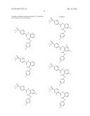 BENZAMIDES AND RELATED INHIBITORS OF FACTOR XA diagram and image