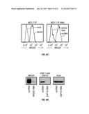 Methods and Compositions Involving NKG2D Inhibitors and Cancer diagram and image