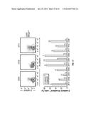 Methods and Compositions Involving NKG2D Inhibitors and Cancer diagram and image