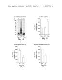 ANTIBODIES TO CROSS-LINKED AMYLOID BETA OLIGOMERS diagram and image