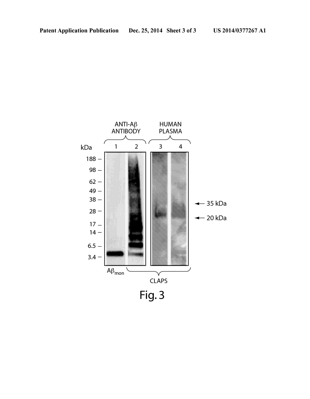 ANTIBODIES TO CROSS-LINKED AMYLOID BETA OLIGOMERS - diagram, schematic, and image 04