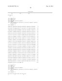 LECTIN-LIKE OXIDIZED LDL RECEPTOR 1 ANTIBODIES AND METHODS OF USE diagram and image