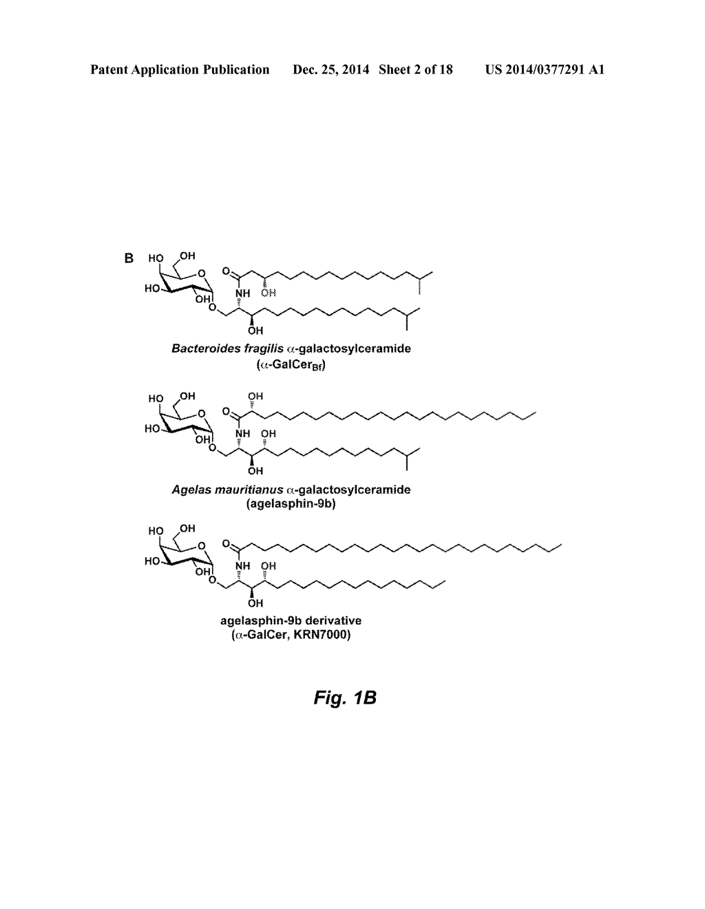 GLYCOSPHINGOLIPIDS FOR USE IN MODULATING IMMUNE RESPONSES - diagram, schematic, and image 03