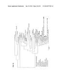 PHARMACEUTICAL PRODUCTS FROM FUNGAL STRAINS diagram and image