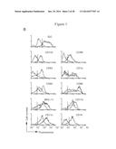 USE OF INHIBITORS OF INDOLEAMINE-2,3-DIOXYGENASE IN COMBINATION WITH OTHER     THERAPEUTIC MODALITIES diagram and image