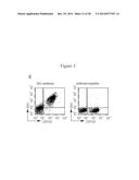 USE OF INHIBITORS OF INDOLEAMINE-2,3-DIOXYGENASE IN COMBINATION WITH OTHER     THERAPEUTIC MODALITIES diagram and image