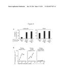 USE OF INHIBITORS OF INDOLEAMINE-2,3-DIOXYGENASE IN COMBINATION WITH OTHER     THERAPEUTIC MODALITIES diagram and image