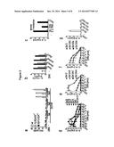 AGONISTS AND ANTAGONISTS OF TOLL-LIKE RECEPTOR (TLR) 13 diagram and image