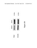 METHODS TO TREAT ALLERGIC CONDITIONS diagram and image