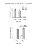 MATERIALS AND METHODS FOR TREATING DIARRHEA diagram and image