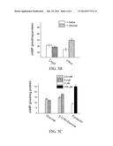 MATERIALS AND METHODS FOR TREATING DIARRHEA diagram and image