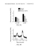 MATERIALS AND METHODS FOR TREATING DIARRHEA diagram and image