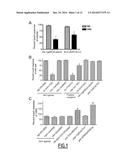 METHOD FOR PROGNOSING THE AGE-AT-ONSET OF HUNTINGTON S DISEASE diagram and image