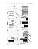 METHOD FOR PROGNOSING THE AGE-AT-ONSET OF HUNTINGTON S DISEASE diagram and image