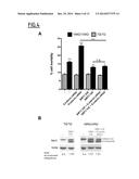 METHOD FOR PROGNOSING THE AGE-AT-ONSET OF HUNTINGTON S DISEASE diagram and image