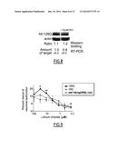 METHOD FOR PROGNOSING THE AGE-AT-ONSET OF HUNTINGTON S DISEASE diagram and image