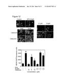 Compositions and Methods for Modulating Lipid Composition diagram and image