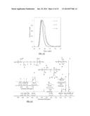 TERPENE/ISOOLEFIN COPOLYMERS HAVING SUBSTANTIALLY HETEROGENEOUS     COMPOSITIONAL DISTRIBUTION AND DISPLAYING THERMOPLASTIC ELASTOMERIC     PROPERTIES diagram and image