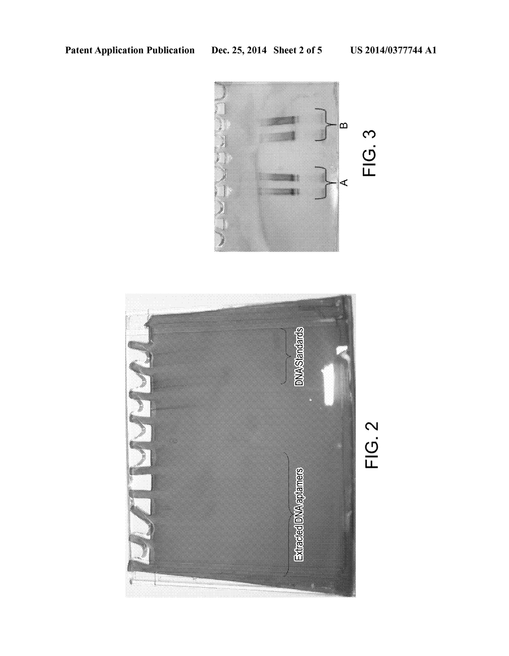 NUCLEIC ACID LIGANDS AGAINST INFECTIOUS PRIONS - diagram, schematic, and image 03