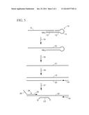 Method to Quantify siRNAs, miRNAs and Polymorphic miRNAs diagram and image