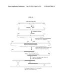 Filamentous Fungi Having Reduced UDP-Galactofuranose Content diagram and image