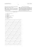 MICROORGANISMS OF CORYNEBACTERIUM WHICH CAN UTILIZE XYLOSE AND METHOD FOR     PRODUCING L-LYSINE USING SAME diagram and image