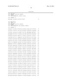 MICROORGANISMS OF CORYNEBACTERIUM WHICH CAN UTILIZE XYLOSE AND METHOD FOR     PRODUCING L-LYSINE USING SAME diagram and image