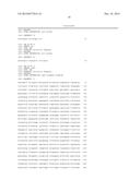 MICROORGANISMS OF CORYNEBACTERIUM WHICH CAN UTILIZE XYLOSE AND METHOD FOR     PRODUCING L-LYSINE USING SAME diagram and image