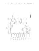 MICROORGANISMS AND METHODS FOR THE CO-PRODUCTION OF ISOPROPANOL WITH     PRIMARY ALCOHOLS, DIOLS AND ACIDS diagram and image