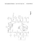 MICROORGANISMS AND METHODS FOR THE CO-PRODUCTION OF ISOPROPANOL WITH     PRIMARY ALCOHOLS, DIOLS AND ACIDS diagram and image