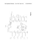 MICROORGANISMS AND METHODS FOR THE CO-PRODUCTION OF ISOPROPANOL WITH     PRIMARY ALCOHOLS, DIOLS AND ACIDS diagram and image