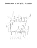 MICROORGANISMS AND METHODS FOR THE CO-PRODUCTION OF ISOPROPANOL WITH     PRIMARY ALCOHOLS, DIOLS AND ACIDS diagram and image