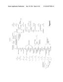 MICROORGANISMS AND METHODS FOR THE CO-PRODUCTION OF ISOPROPANOL WITH     PRIMARY ALCOHOLS, DIOLS AND ACIDS diagram and image