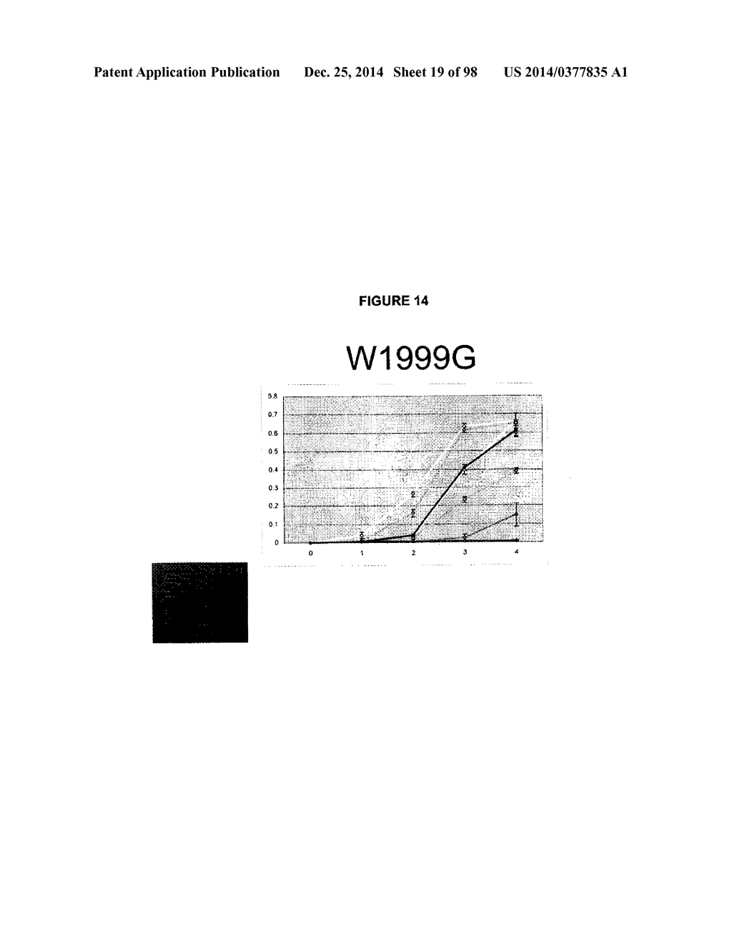 METHODS AND COMPOSITIONS FOR ISOLATING, IDENTIFYING AND CHARACTERIZING     MONOCOT PLASTIDIC ACCASE HERBICIDE TOLERANT MUTATIONS USING A MODEL     SYSTEM - diagram, schematic, and image 20