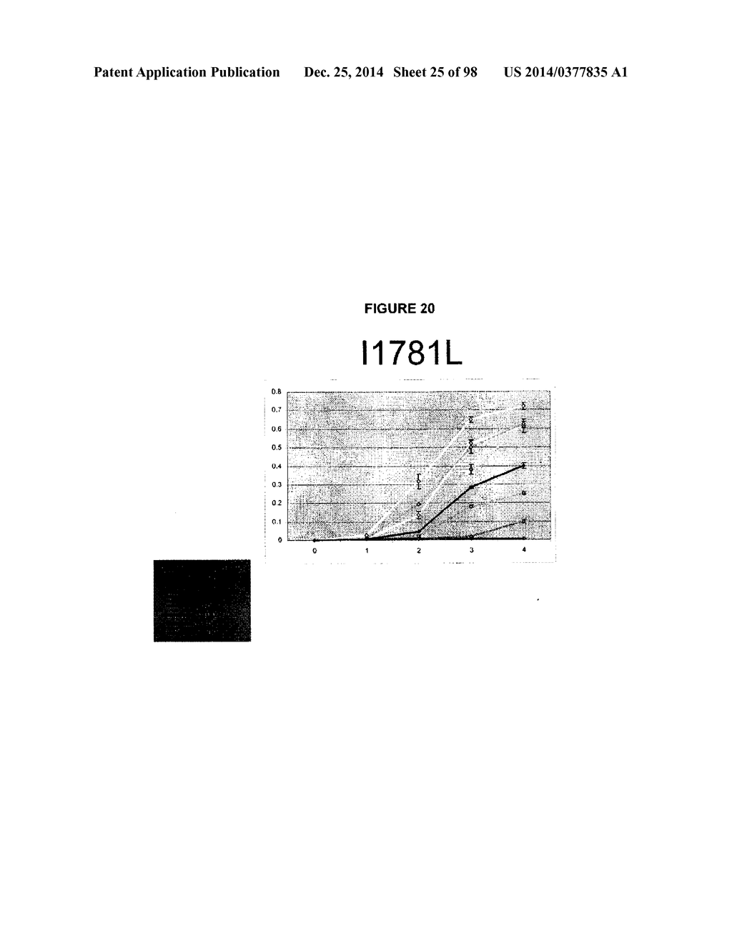 METHODS AND COMPOSITIONS FOR ISOLATING, IDENTIFYING AND CHARACTERIZING     MONOCOT PLASTIDIC ACCASE HERBICIDE TOLERANT MUTATIONS USING A MODEL     SYSTEM - diagram, schematic, and image 26