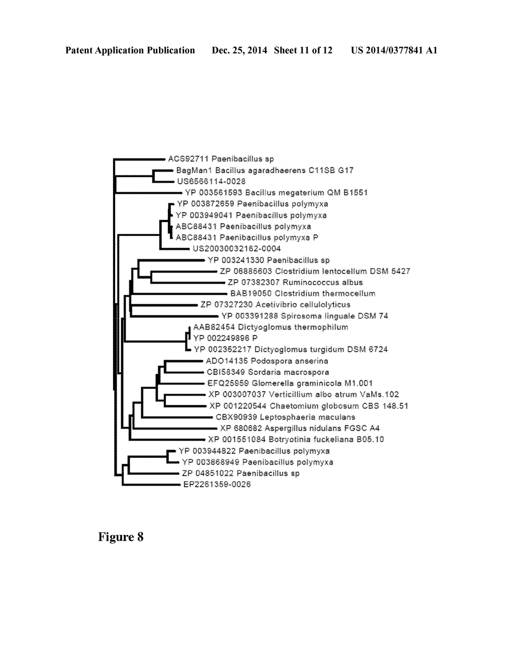 Detergent Compositions Containing Bacillus Agaradhaerens Mannanase and     Methods of Use Thereof - diagram, schematic, and image 12