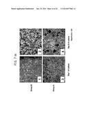 CELL CULTIVATION METHOD AND CELL CULTURE diagram and image