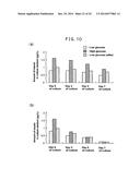 CELL CULTIVATION METHOD AND CELL CULTURE diagram and image