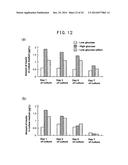 CELL CULTIVATION METHOD AND CELL CULTURE diagram and image