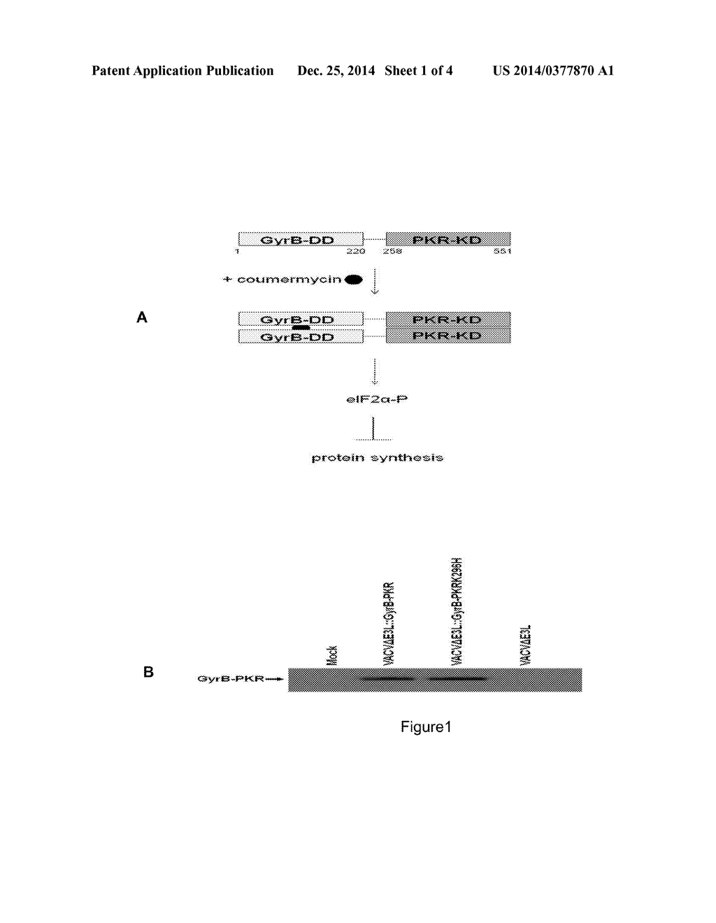 METHOD FOR INSERTING GENETIC MATERIAL INTO GENOMIC DNA - diagram, schematic, and image 02