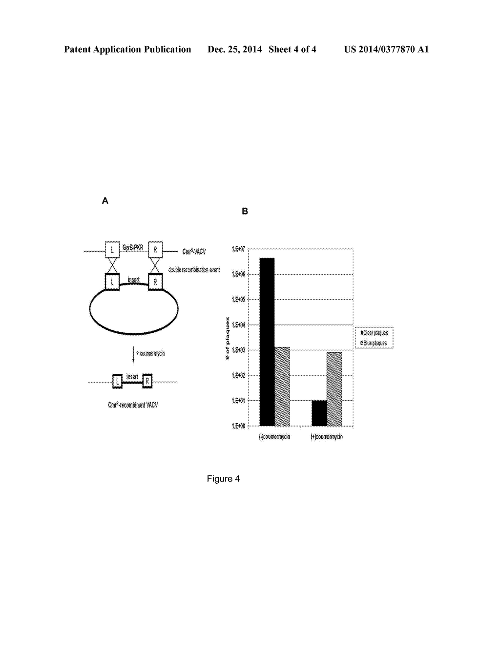 METHOD FOR INSERTING GENETIC MATERIAL INTO GENOMIC DNA - diagram, schematic, and image 05