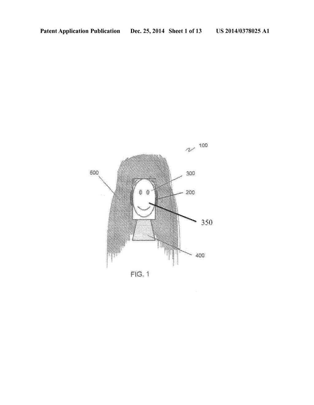 Simulated Head Apparatus with LCD Display Face - diagram, schematic, and image 02