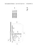 Methods and Compositions for Efficient Base Calling in Sequencing     Reactions diagram and image