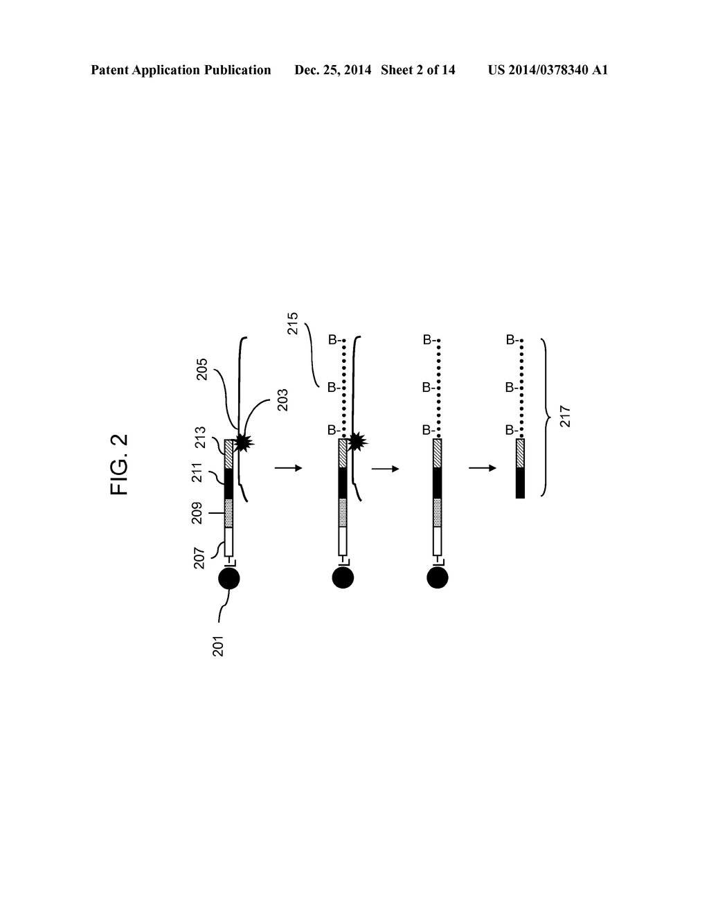 Methods for Genotyping - diagram, schematic, and image 03