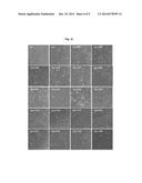 NOVEL VASCULAR LEAKAGEAGE INHIBITOR diagram and image