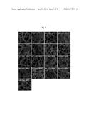 NOVEL VASCULAR LEAKAGEAGE INHIBITOR diagram and image