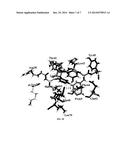 IMMUNOSUPPRESSIVE COMPOUNDS diagram and image